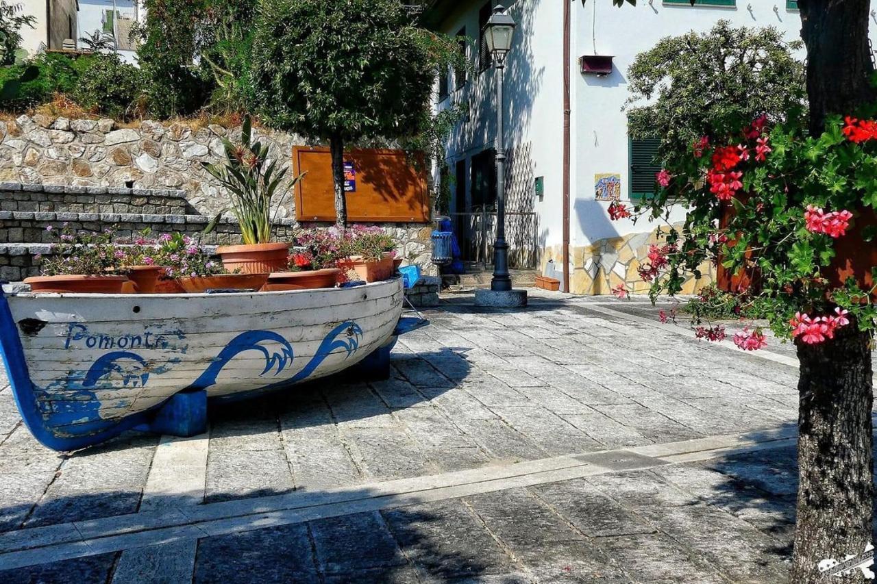 Casa Beppa Διαμέρισμα Pomonte Εξωτερικό φωτογραφία